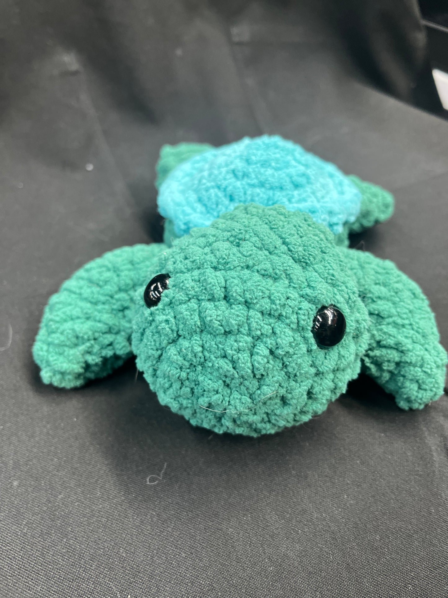 Blue shell Turtle