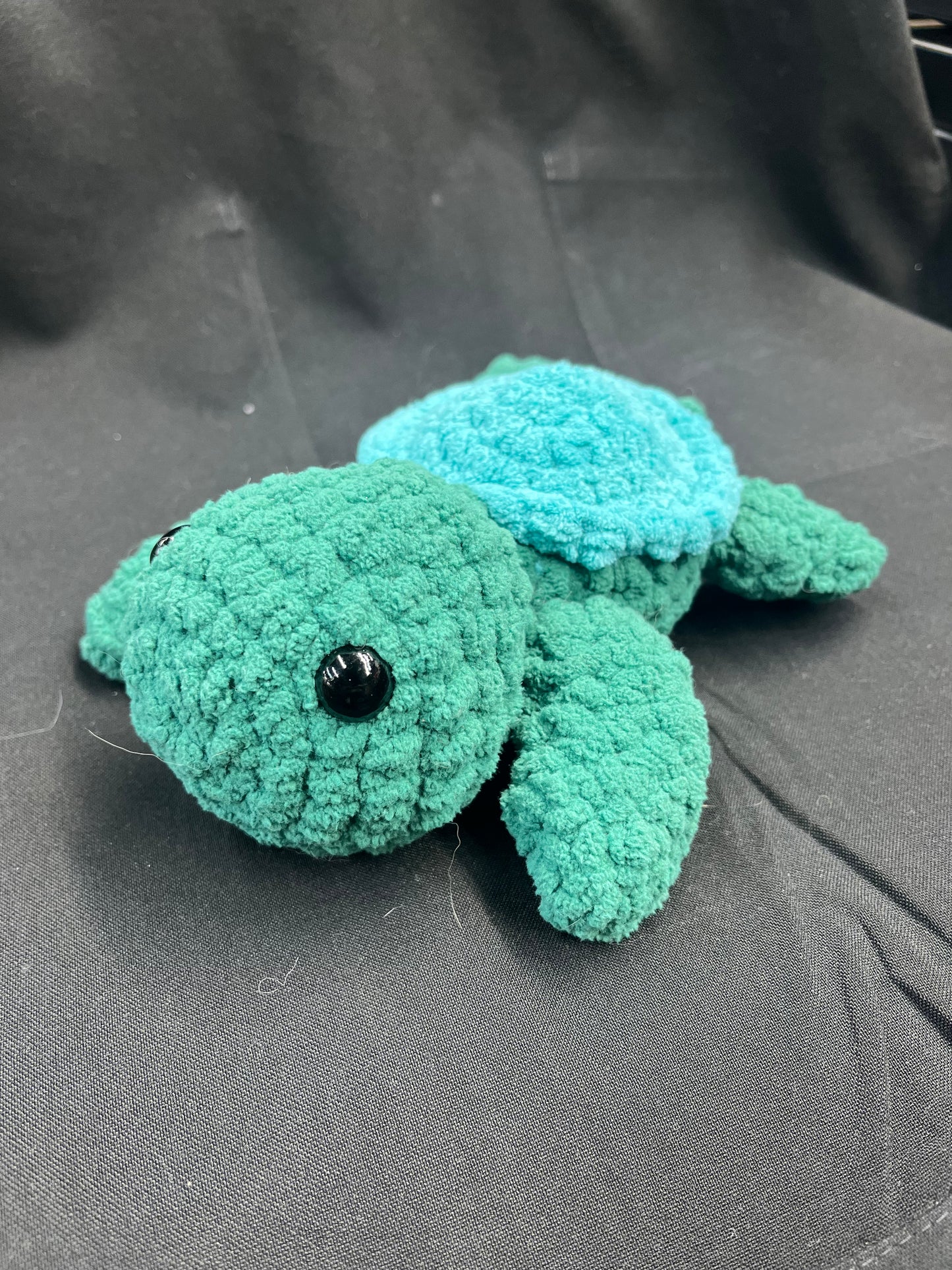 Blue shell Turtle