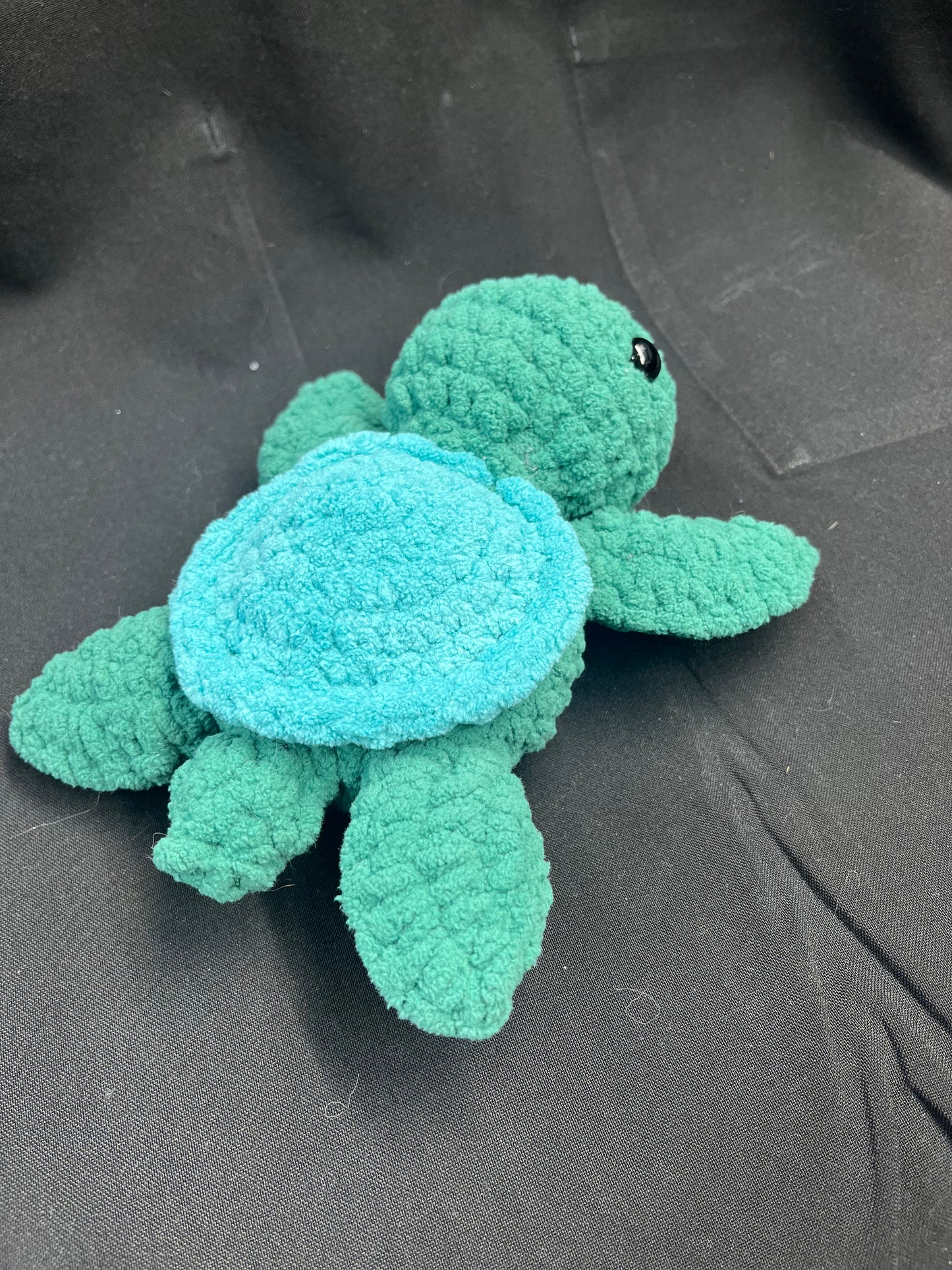 Blue shell Turtle