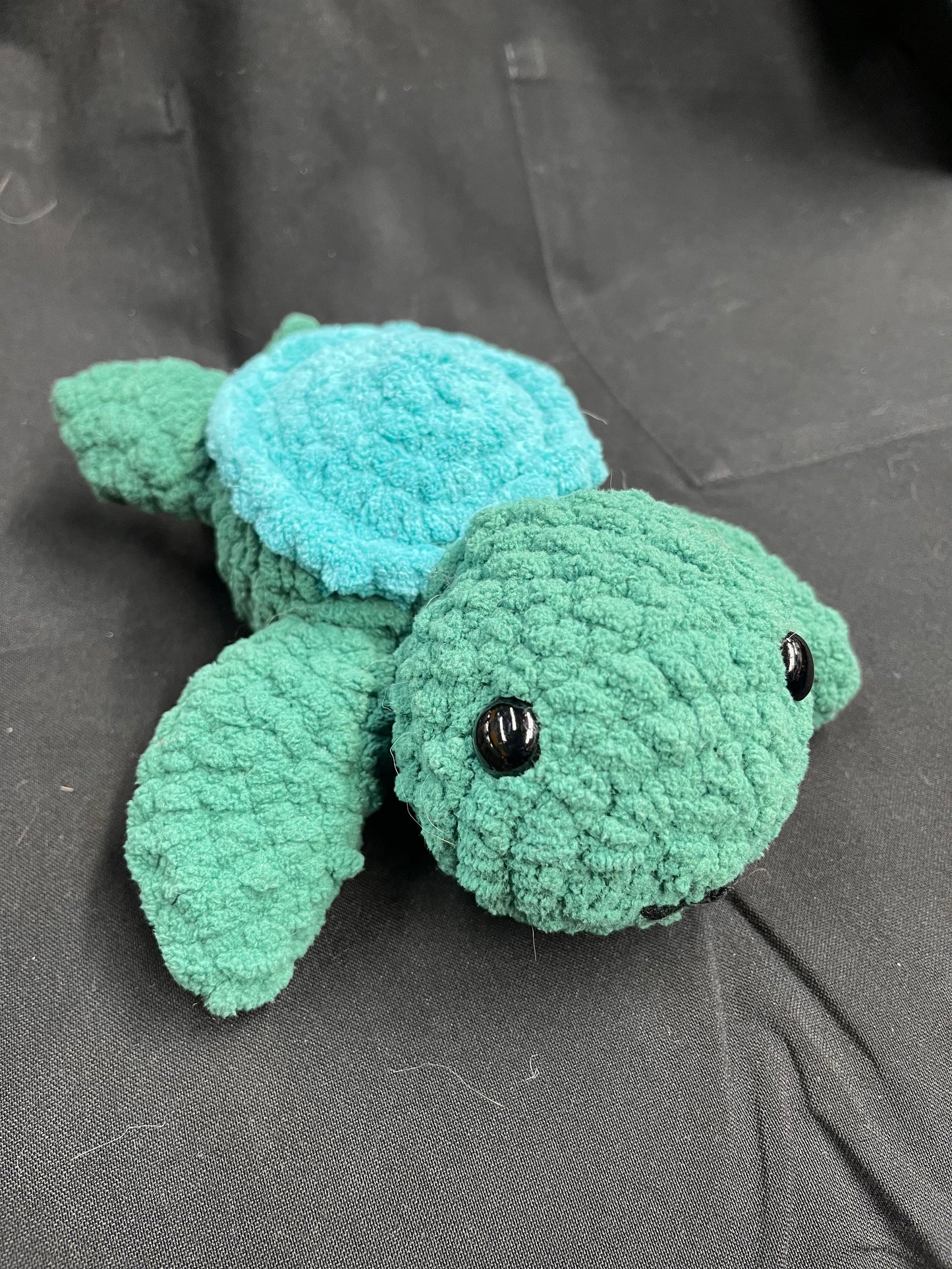 Blue shell Turtle